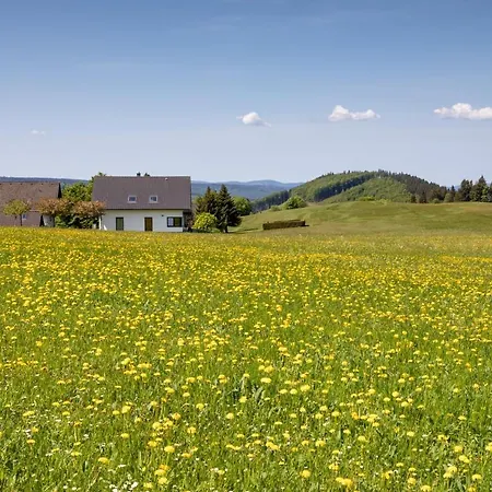 Astenpanorama Διαμέρισμα *