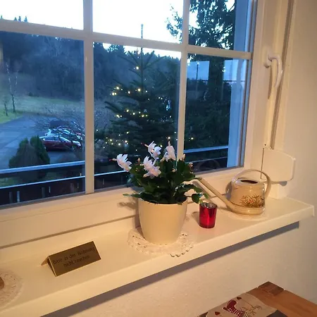 Διαμέρισμα Astenpanorama Βίντερμπεργκ