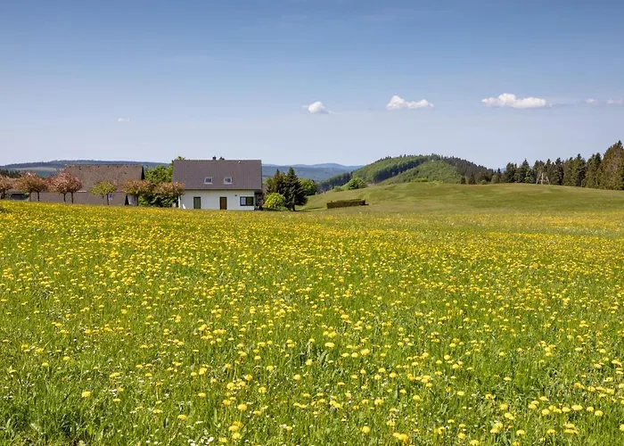 Astenpanorama Apartman *