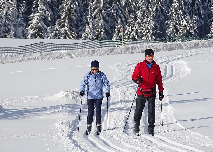 Apartman Astenpanorama *